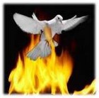 Picture for song 'mercy' by artist 'signs and wonders'