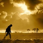 Picture for song 'Follow Me' by artist 'Silent Noize'