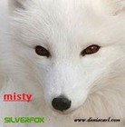 Picture for song 'Misty' by artist 'Silverfox ( UK )'