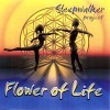 Picture for song 'Following The Silence' by artist 'Sleepwalker Project'