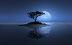 Picture for song 'New Moon' by artist 'SlimBeatz23'