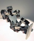 Picture for song 'RBD Robo-Nap' by artist 'Small Asian Boys'