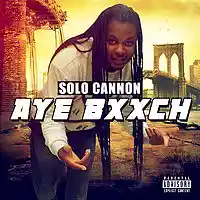 Picture for song 'Aye Bitch ' by artist 'solo cannon'