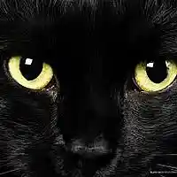 Picture for song '-Friday The 13th- TRAP (prod by @Somersetjaye)' by artist 'Somerset Jaye Music'