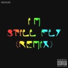 Picture for song 'I'm Still Fly (Remix).mp3' by artist 'Sound Division Records'