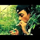 Picture for song 'Greenhouse *FREE DL!*' by artist 'Sound Genius'