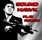Picture for song 'SoundHawk - Play Rough' by artist 'SoundHawk'