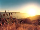 Picture for song 'Preserve your life' by artist 'Soundway'
