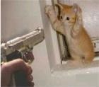 Picture for song 'Tha Stick-up' by artist 'Southern Comfort Inc.'