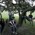 Picture for song 'Carry On' by artist 'Southern VII'
