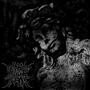 Picture for song 'Into the Mouth of the Temptress' by artist 'Staring at the Empty Throne'