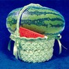 Picture for song 'easter hay' by artist 'steev wiggs'