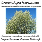 Picture for song 'Cheremshyna in Ukrainian' by artist 'Stepan Pasicznyk'