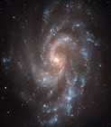 Picture for song 'Triangulum Galaxy' by artist 'Stephen Richard Thomas Brown'