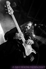 Picture for song 'RETRIEVER-HEAD SHIFTER' by artist 'STEVE LIEBERMAN THE GANGSTA RABBI'
