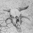 Picture for song 'Night Vision' by artist 'Still The Yeti'