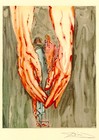Picture for song 'Rhapsody' by artist 'Still The Yeti'