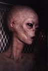Picture for song 'N.O.T.E' by artist 'STONEHED'