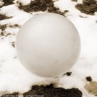 Picture for song 'chicken funk in the am' by artist 'streetleaks'