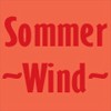 Picture for song 'Sommerwind' by artist 'Sun Shine Sigi'