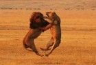 Picture for song 'Instinct' by artist 'Supernova Beats'