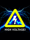 Picture for song 'High Voltage Blues' by artist 'Swampman And The Machine'