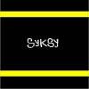 Picture for song 'Roundabouts' by artist 'SYKSY'