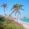 Picture for song 'Island Breeze' by artist 'Synthetic Movements'