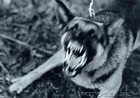 Picture for song 'Erotic' by artist 'Tarnish By Gray'