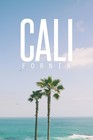 Picture for song 'California (Bigwhite Beatz Collab)' by artist 'Taylor Supreme'