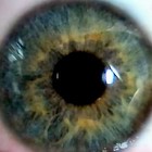 Picture for song 'Thawed Out' by artist 'Tenth House'