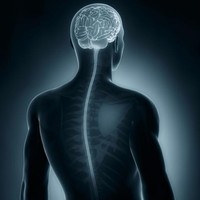 Picture for song 'Limitations Of The Mind' by artist 'Tha Producers'