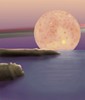 Picture for song 'Tyrrhanian Transcendence' by artist 'The Ambient Society'