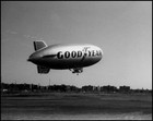 Picture for song 'Airship PSA' by artist 'The Apologizers'