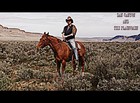 Picture for song 'Lasso The Wind (electric version)' by artist 'The Dan Canyon Band'