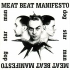 Picture for song 'Dog Star Man (Fall Down and Hit The Ground Mix)' by artist 'the Dead Beats'