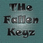 Picture for song 'Stress Release (snippet)' by artist 'The Fallen Keyz'