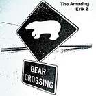 Picture for song 'Rockstar' by artist 'The First Album (Bear Crossing)'