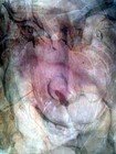 Picture for song 'It's Over When I Say It Is' by artist 'The Free Samples'