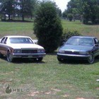 Picture for song 'snappin'' by artist 'The Greatest Entertainment'