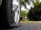 Picture for song 'Stephanie's Flat Tire' by artist 'The Hambone'
