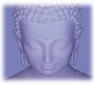 Picture for song 'BUDA 2009' by artist 'The International Industries'