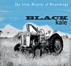 Picture for song 'Science And Mathematics' by artist 'The Little Miracles Of Misanthropy'