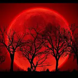 Picture for song 'Shadow of a Blood Moon' by artist 'The Lofty Oaks'