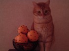 Picture for song 'Fossing' by artist 'The Mentor'