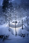 Picture for song 'Icey''' by artist 'the newyork sound'
