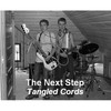 Picture for song 'Notes For A Star' by artist 'The Next Step'