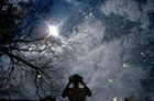 Picture for song 'Patman - Lucy' by artist 'thePatman'
