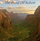 Picture for song 'Eminem - 'Till i Collapse (P.O.R. Remix)' by artist 'The Pissed Off Robots'