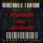 Picture for song 'Wiz Khalifa beat "medicated and dedicated"' by artist 'The Rebel Nation Collective'